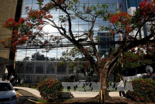 Perusahaan Mossack Fonsesa menyatakan akan mengajukan tindakan hukum terhadap ICIJ